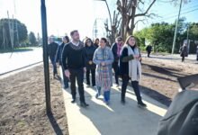 Obras de pavimentación e hidráulica