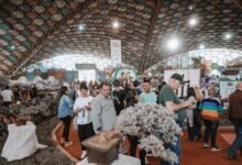 62ª Fiesta Nacional de la Flor