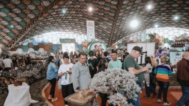 62ª Fiesta Nacional de la Flor