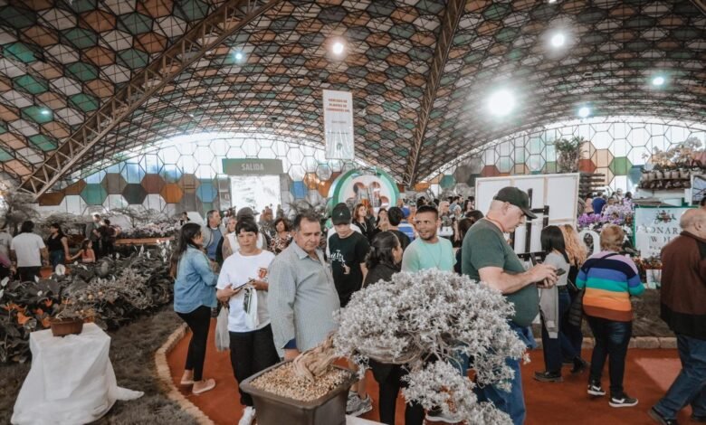 62ª Fiesta Nacional de la Flor