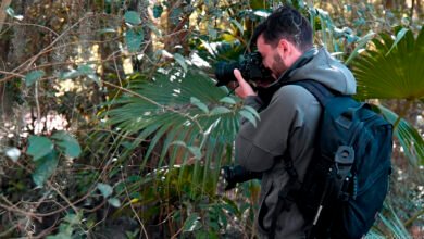 7ma edición del Tigre Photo Fest 2025