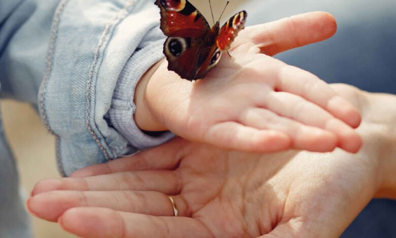 Día de la Adopción