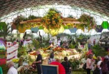 Fiesta Nacional de la Flor