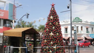 Arbol y pesebre en San Miguel