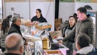 Mercado de Oportunidades Navideño