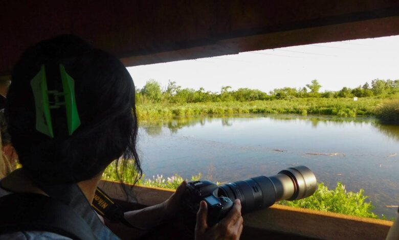 Avistaje en la reserva