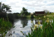 Laguna en la reserva
