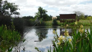 Laguna en la reserva