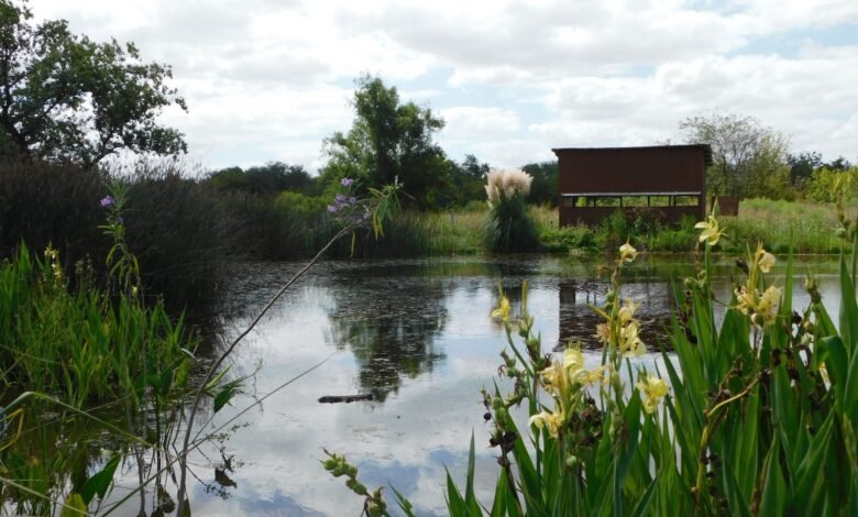 Laguna en la reserva