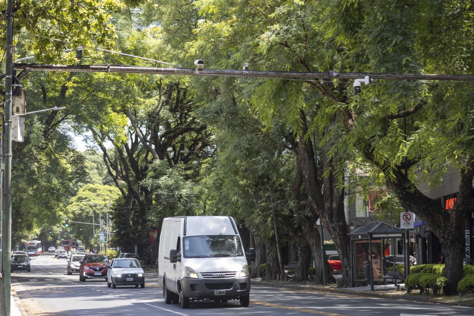 Nuevas cámaras con IA