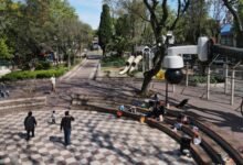 Nuevas cámaras con IA