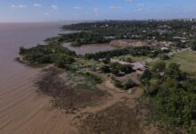 50 hectáreas de costa