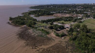 50 hectáreas de costa