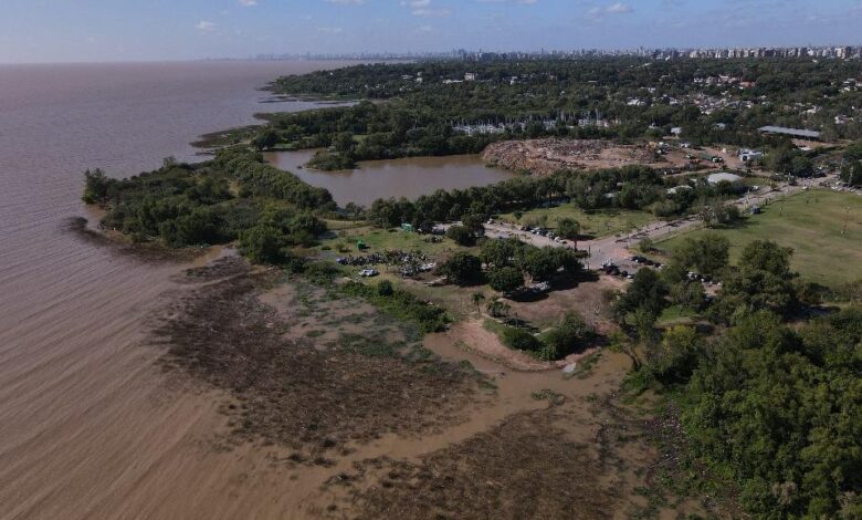 50 hectáreas de costa