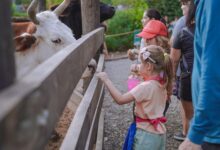 Granja Educativa Don Benito