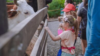 Granja Educativa Don Benito