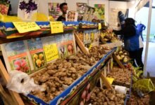 Mercado de Productos Familiares