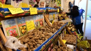 Mercado de Productos Familiares