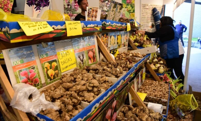 Mercado de Productos Familiares