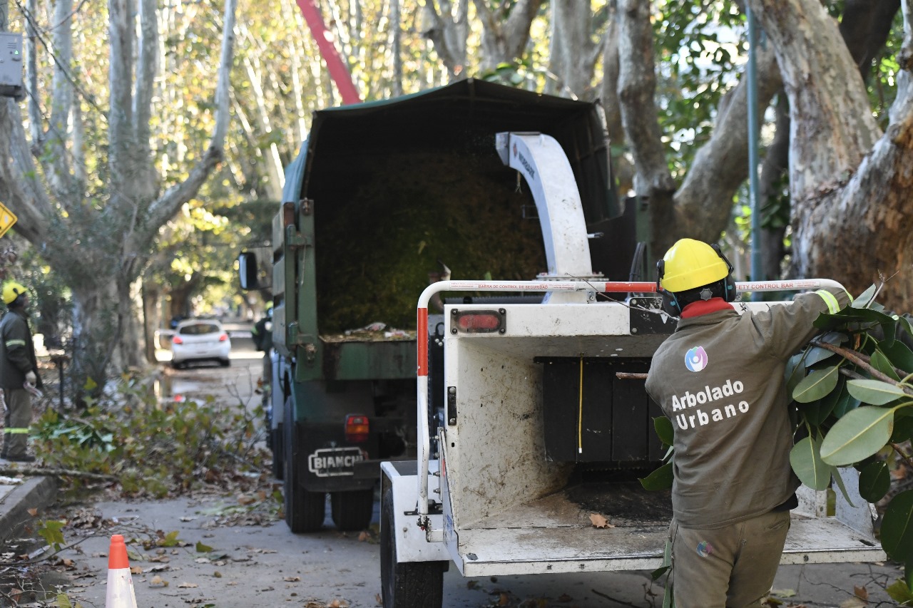 VL Plan de Poda 2026