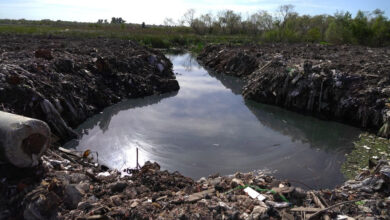 Estado ambiental del predio de la Ruta 26