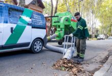 Operativo Otoño en San Isidro