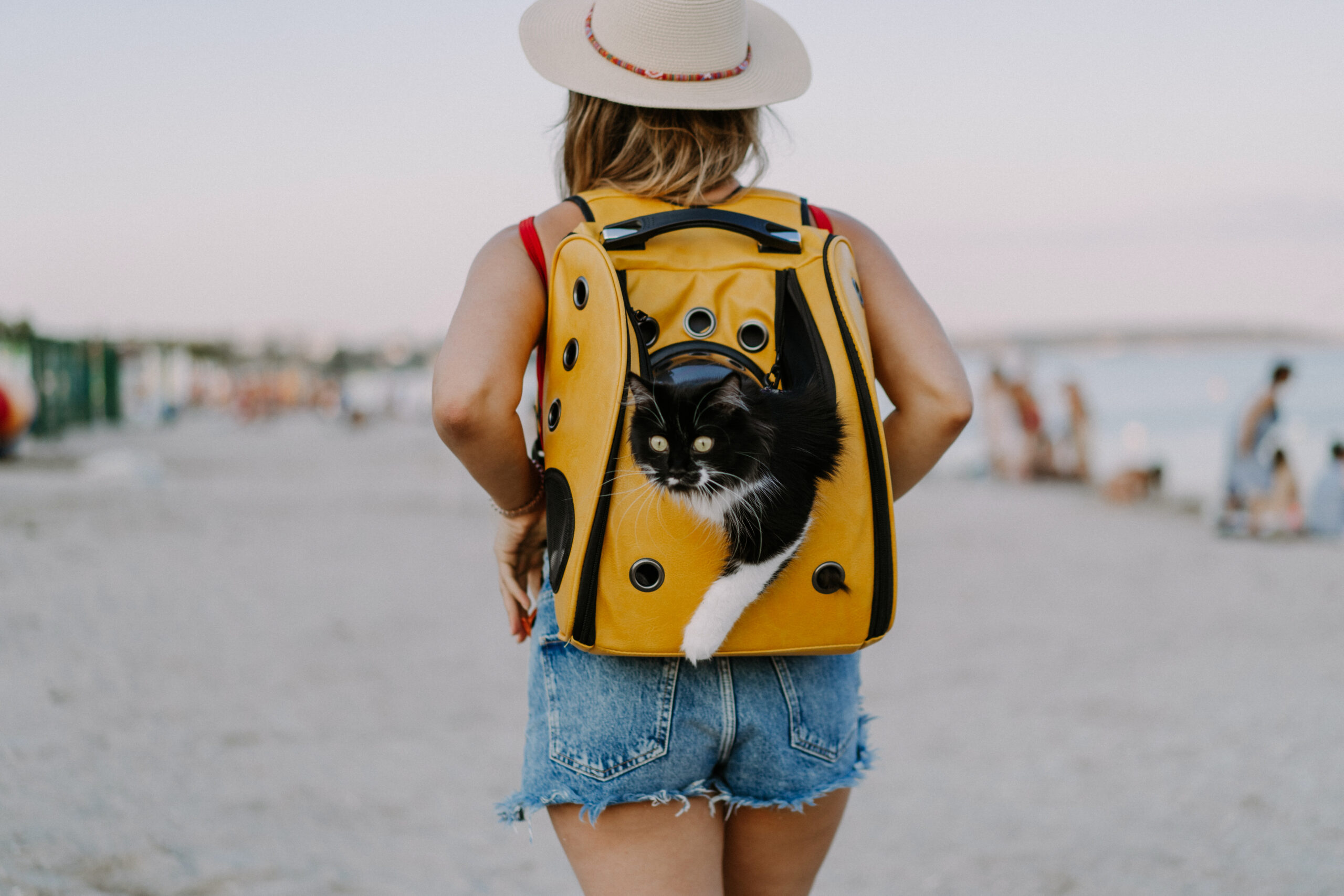 Las mascotas participan de nuestros viajes