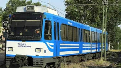 Tren de la Costa