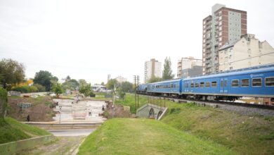 Nueva plaza canina