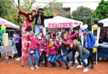 Programa de Ayuda a Egresados