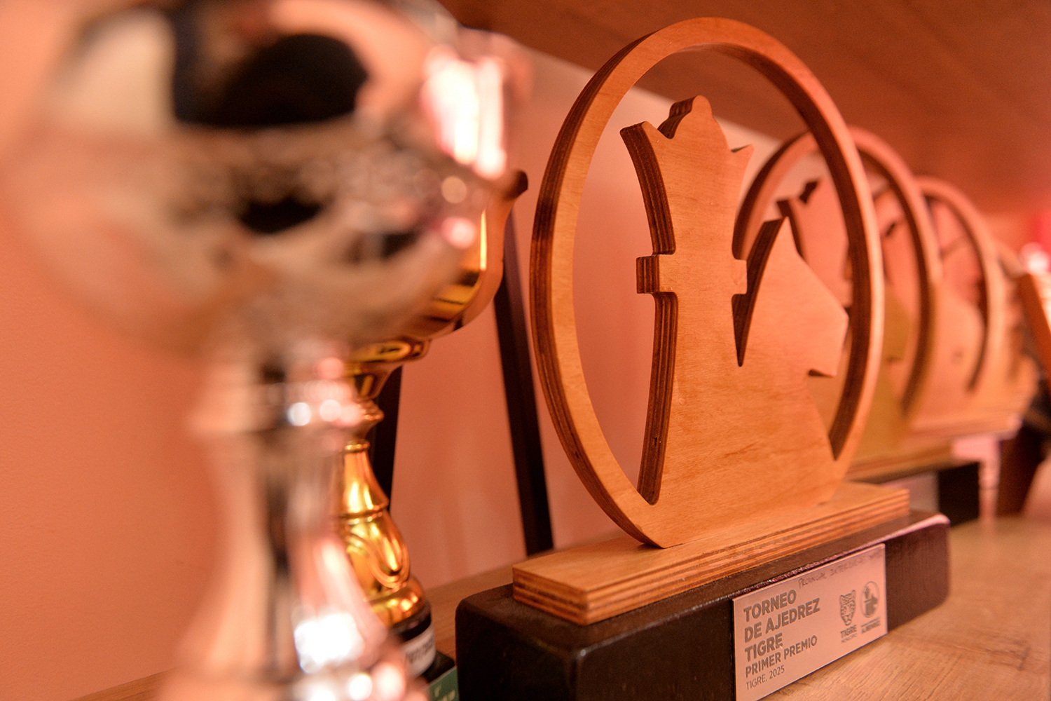 Trofeos de Mia Morena Álvarez