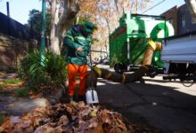 Plan de Otoño en Vicente López