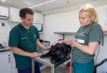Zoonosis San Isidro