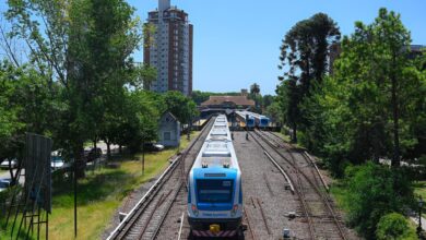 Tren Mitre - Tigre