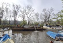 Draga varada