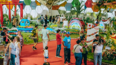 Fiesta de la Flor