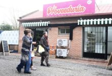 La Proveeduría