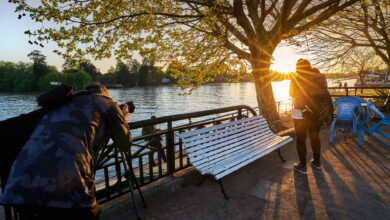 Tigre Photo Fest