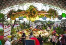 Fiesta de la Flor