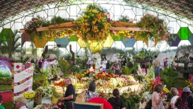 Fiesta de la Flor