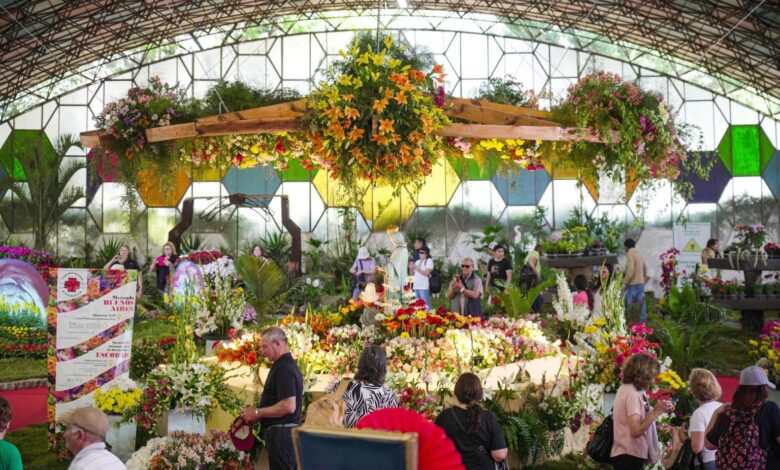 Fiesta de la Flor