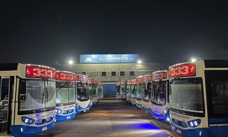 Línea 333